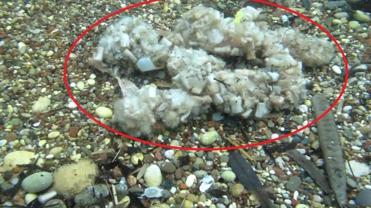 Antalya'da deniz pamuk tarlasına dönüştü!