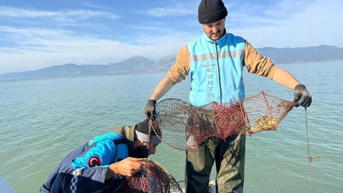 Isparta'da 300 kerevit ele geçirildi! Çalışma başlatıldı