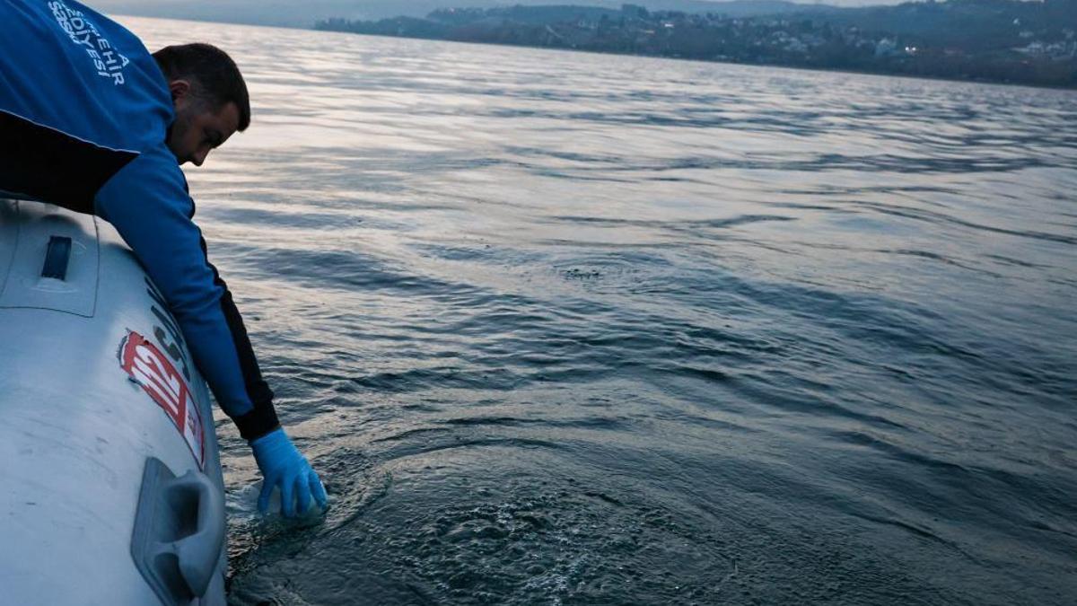 Sapanca Gölü'ndeki kabarcıklar endişe yaratmıştı! Numuneler alındı, sebebi ortaya çıktı