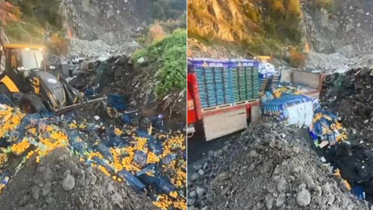 Sarp Sınır Kapısı’nda 6 ton mandalina imha edildi! Zirai ilaç kalıntısı tespit edildi