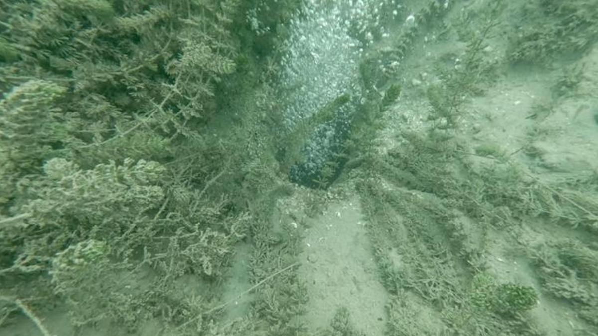 Sakarya ile Kocaeli'de vatandaşlar diken üstünde: Bu görüntüden sonra deprem oluyor