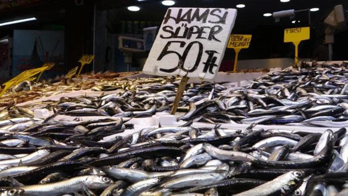 Karadeniz'de balık bereketi! Kilosu 50 TL'ye düştü: Kapış kapış gidiyor