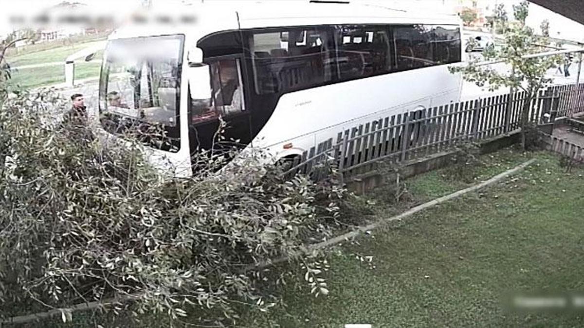 Tekirdağ Ergene'de servis minibüsü ağaca çarptı: 1 yaralı