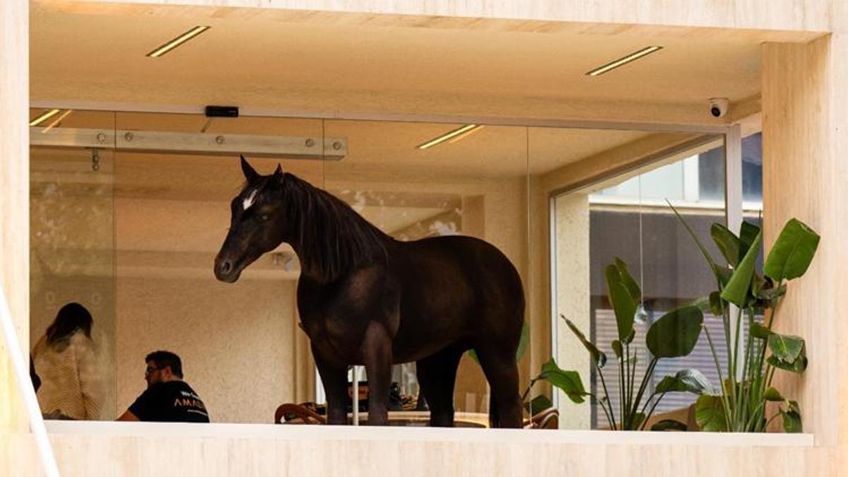 Bu 'kahve' çok konuşulur!