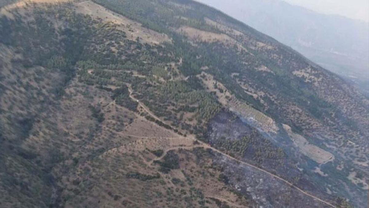 Aydın Bozdoğan'daki orman yangını kontrol altına alındı