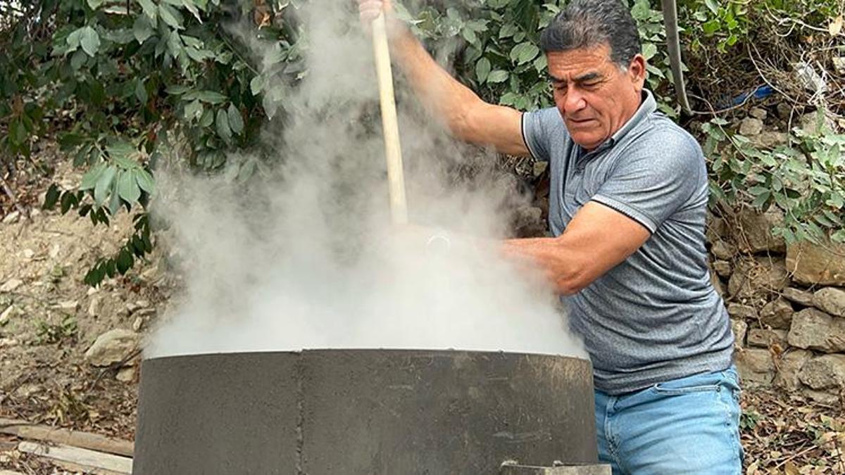 Bu ağacın yaprağı da yağı da kazandırıyor! Ormanda kendiliğinden yetişiyor: Litresi bin lira