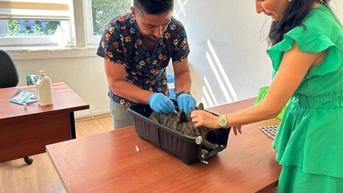 Kayıt yapmak zorunlu! Son tarih 31 Aralık