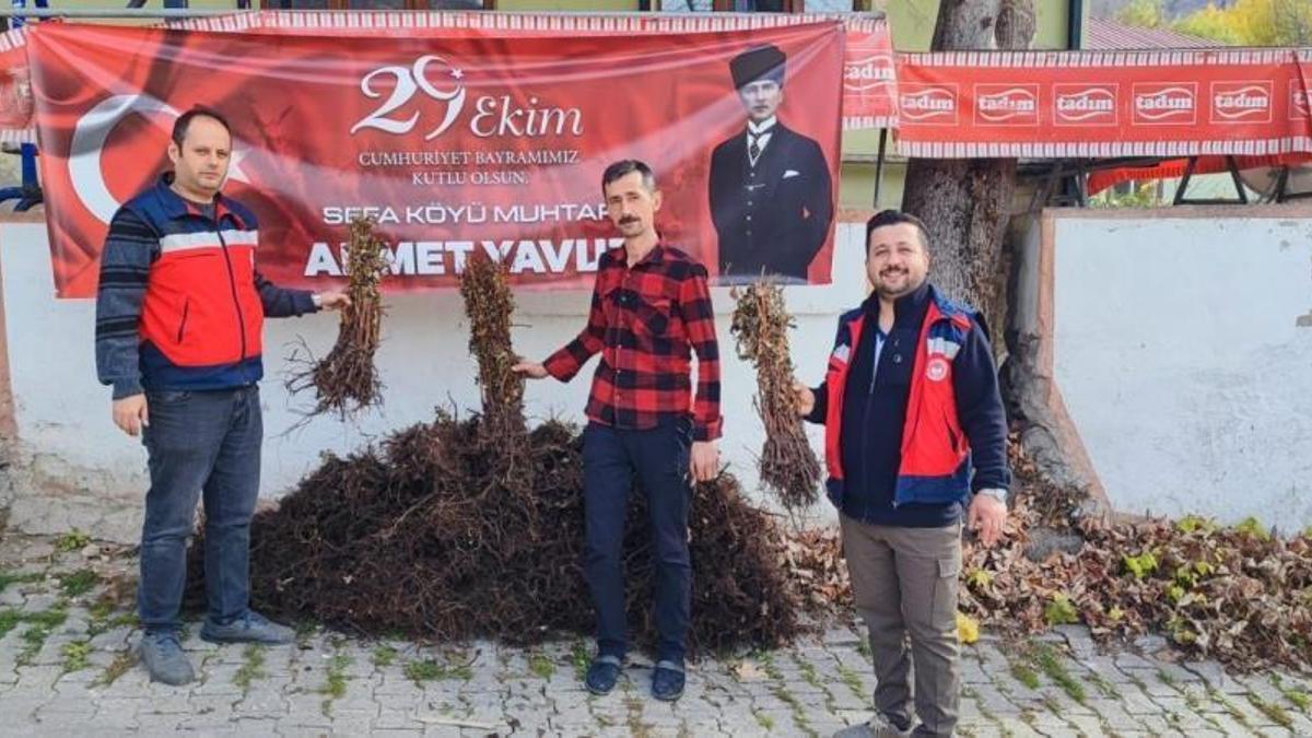 Kütahya'da 3 bin tane dağıtıldı! Yüzde 75'i devlet destekli