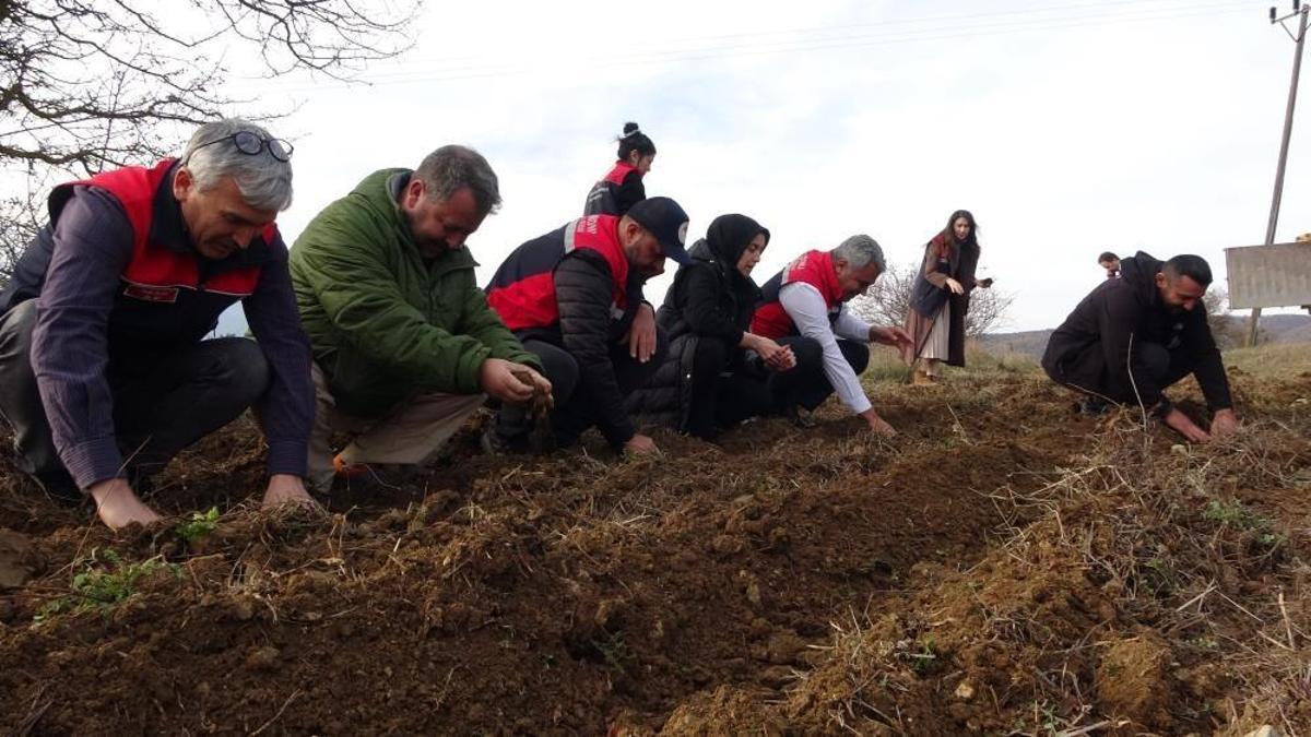 Kastamonu'da kadınlar için üretildi: Ücretsiz 38 bin adet verildi
