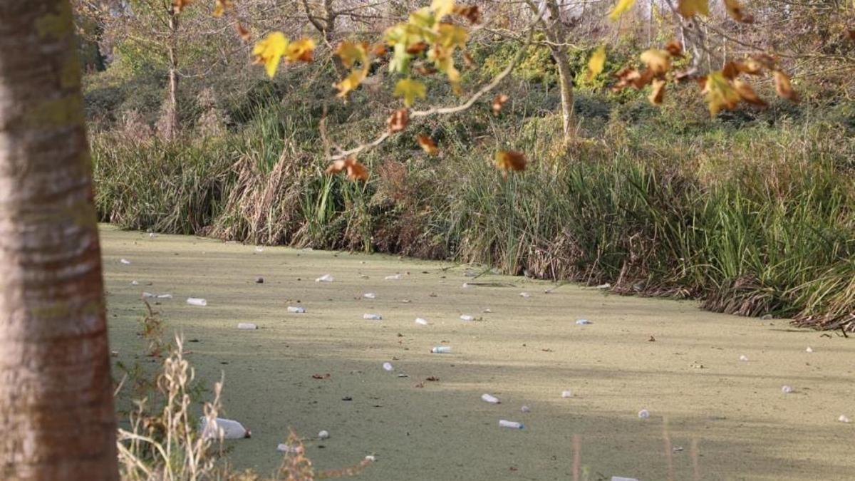 Sakarya'da 9 km'lik su kanalı çöplüğe döndü! Vatandaş çağrı yaptı