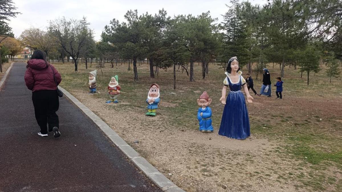 Afyonkarahisar'da bu da oldu! Pamuk Prenses'in cücelerini çaldılar