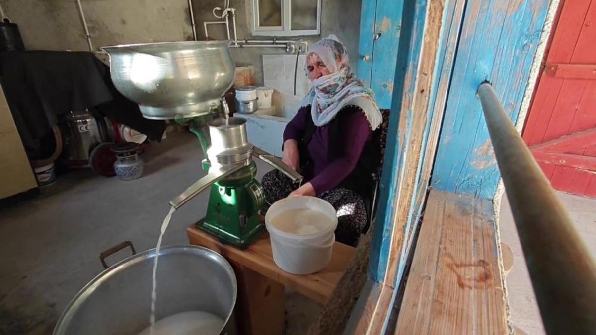 Erzurum'un doğal antibiyotiği! Kilosu 500 lira ama tam bir şifa kaynağı