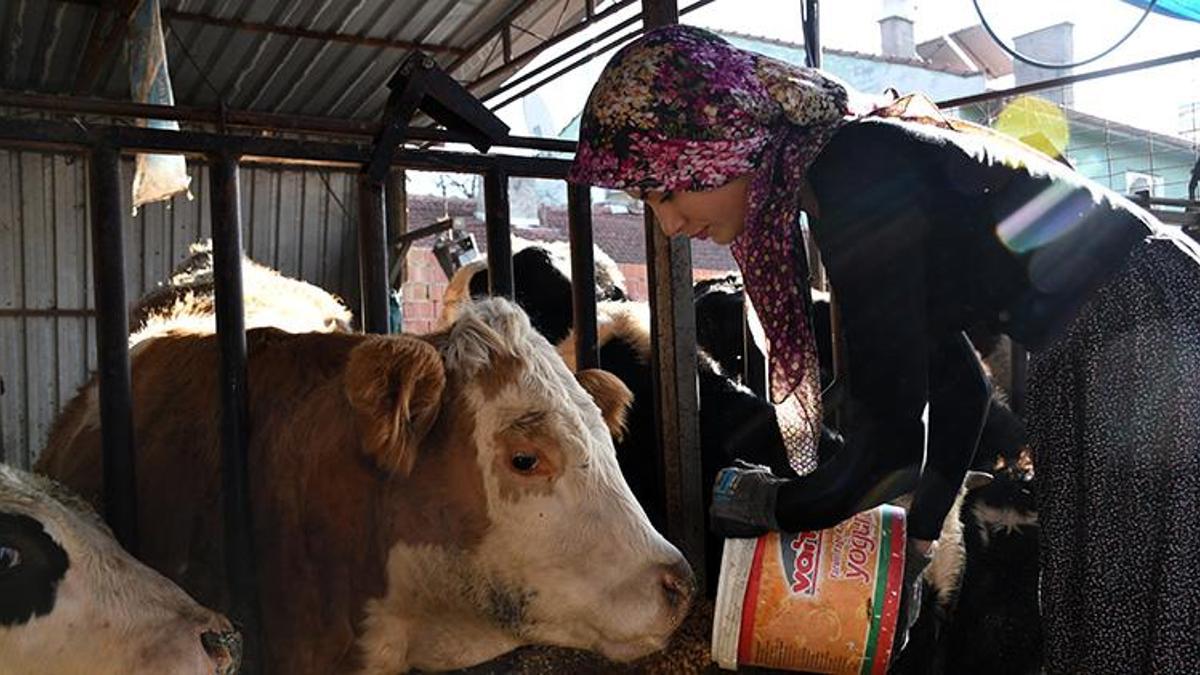 Nevşehir'de üniversite okuyor ama asıl tutkusu traktör direksiyonunda! 'Dönmek için gün sayıyorum'