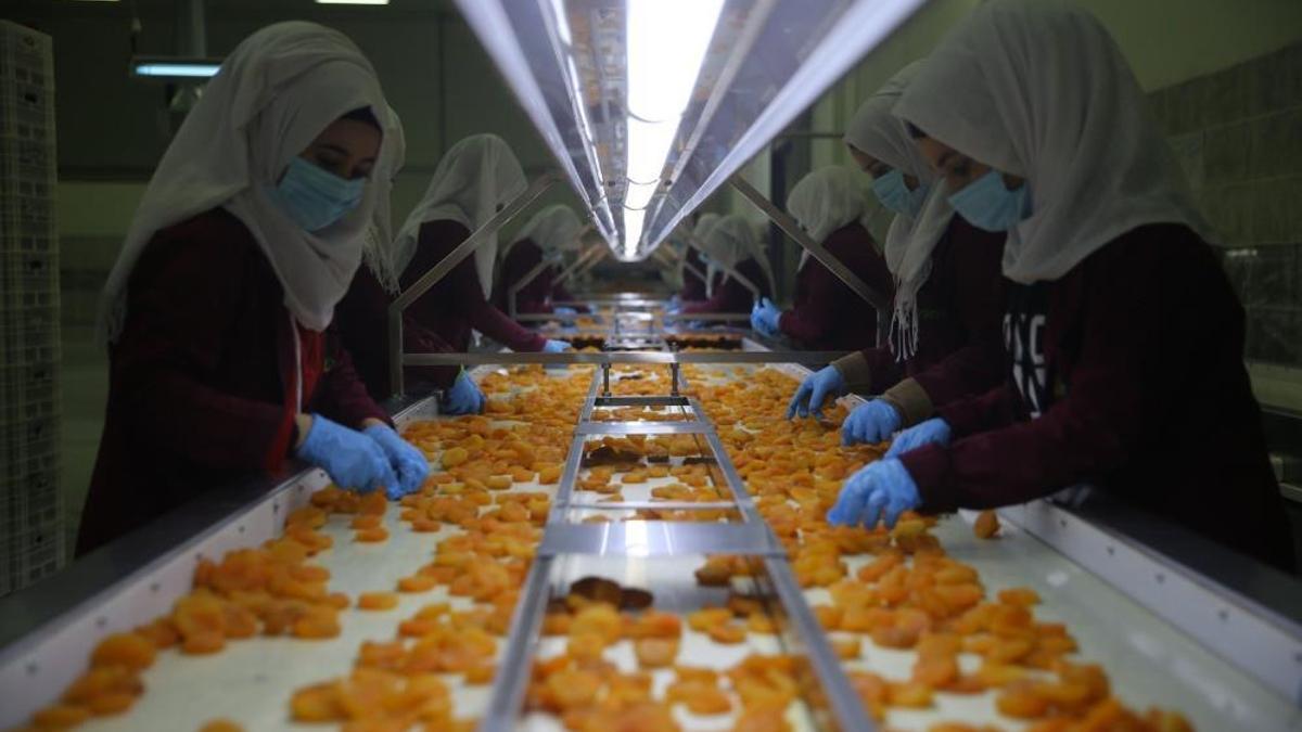 Bu yıl büyük zarar gördü! Ama hedef 300 milyon dolar gelir