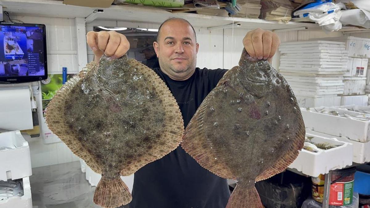 Karadeniz'de hamsi bereketi diğer balık türlerini …