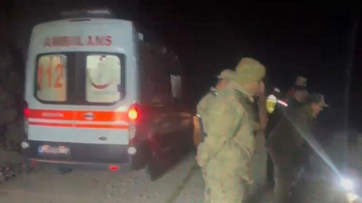 Ardahan'ın Posof ilçesinde kamyon devrildi: 1 ölü