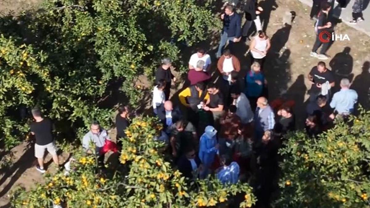 Ücretsiz meyveyi duyan oraya akın etti! Dalından tek tek topladılar