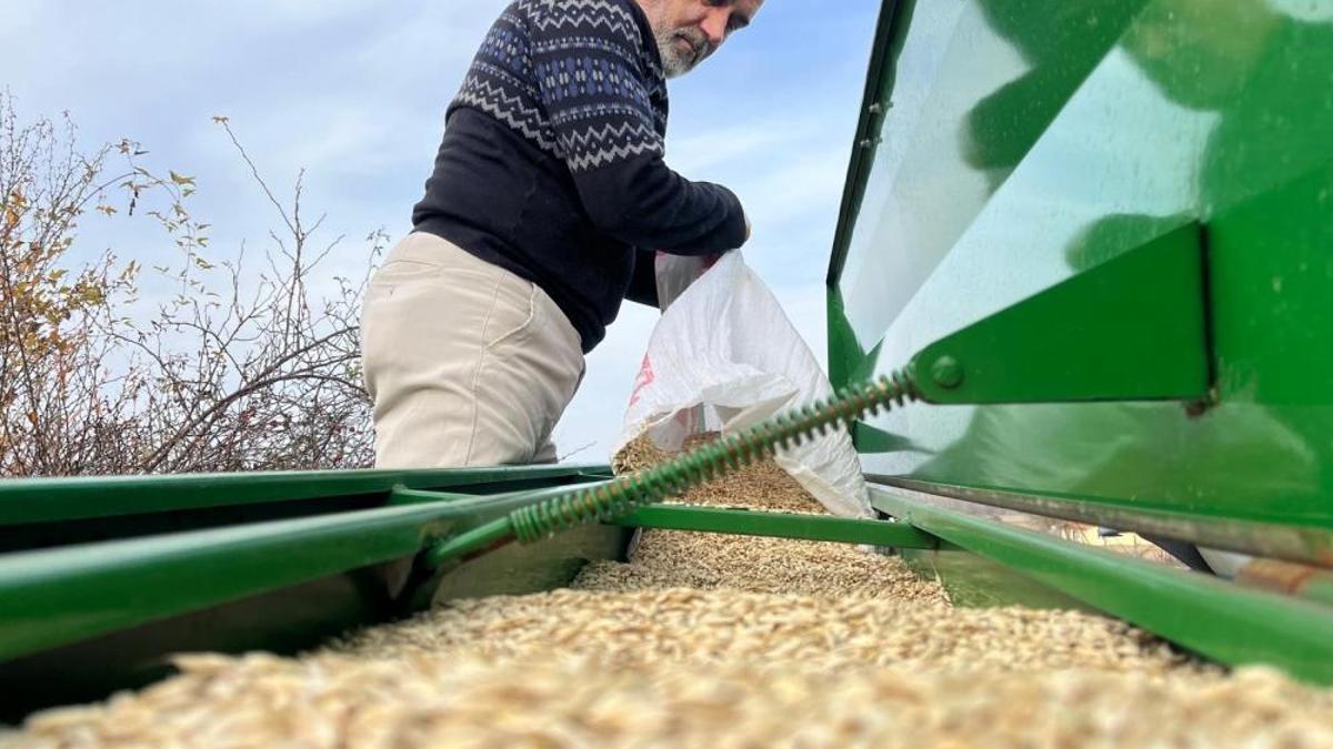 Çiftçilerin ekim mesaisi başladı! 12 bin yıllık ürün toprakla buluştu