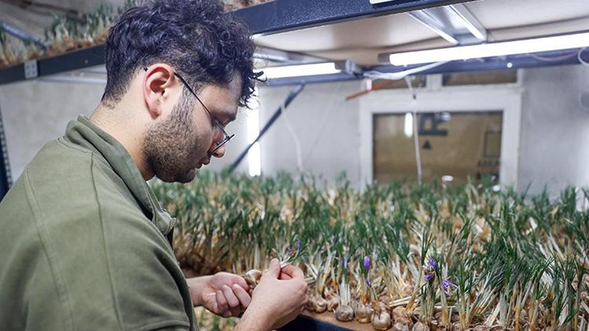 Yeni mezun ziraat mühendisi ezberleri bozdu! 500 bin lira masraf yaptı her yıl 1 milyon TL kazanıyor