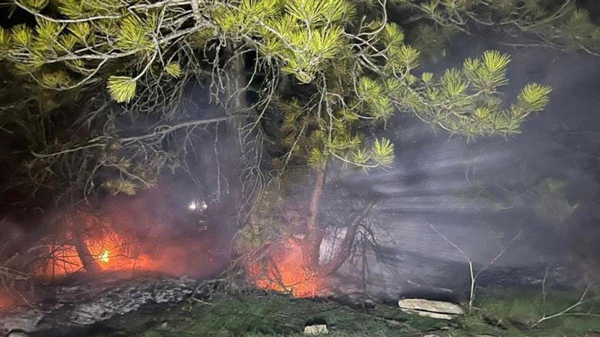 Bolu Mudurnu’da ormanlık alanda yangın çıktı