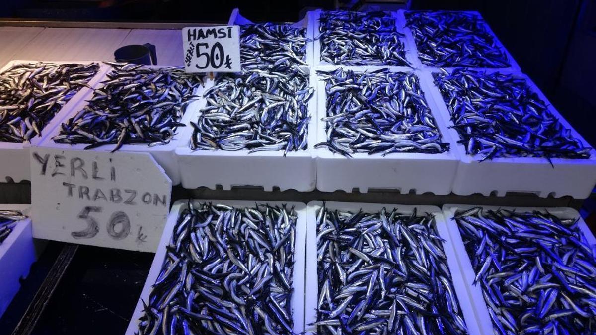 Karadeniz'den bu sezon adeta hamsi fışkırıyor! Fiyatlar yeniden 50 liraya düştü