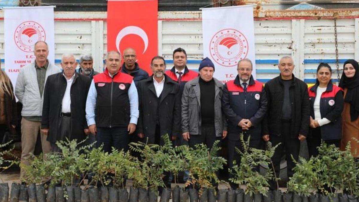 Elazığ’da üreticilere büyük destek! 7 binden fazla fide dağıtıldı! 91 dekar alanda üretim başlayacak