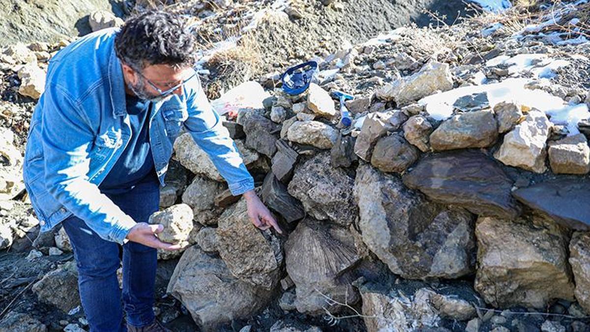 50 milyon yıl öncesine ait olduğu düşünülüyor! Bingöl'ün dağlarında bulundu, yaşı incelendikten sonra belli olacak