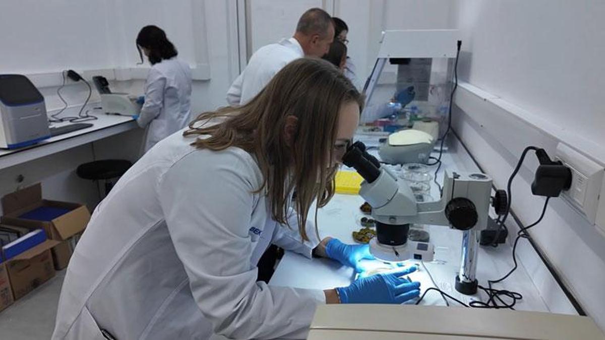 Bursa'da Türk bilim insanları tardigradların 'su ayısı' proteinleriyle savunma sanayine biyomalzeme geliştirecek