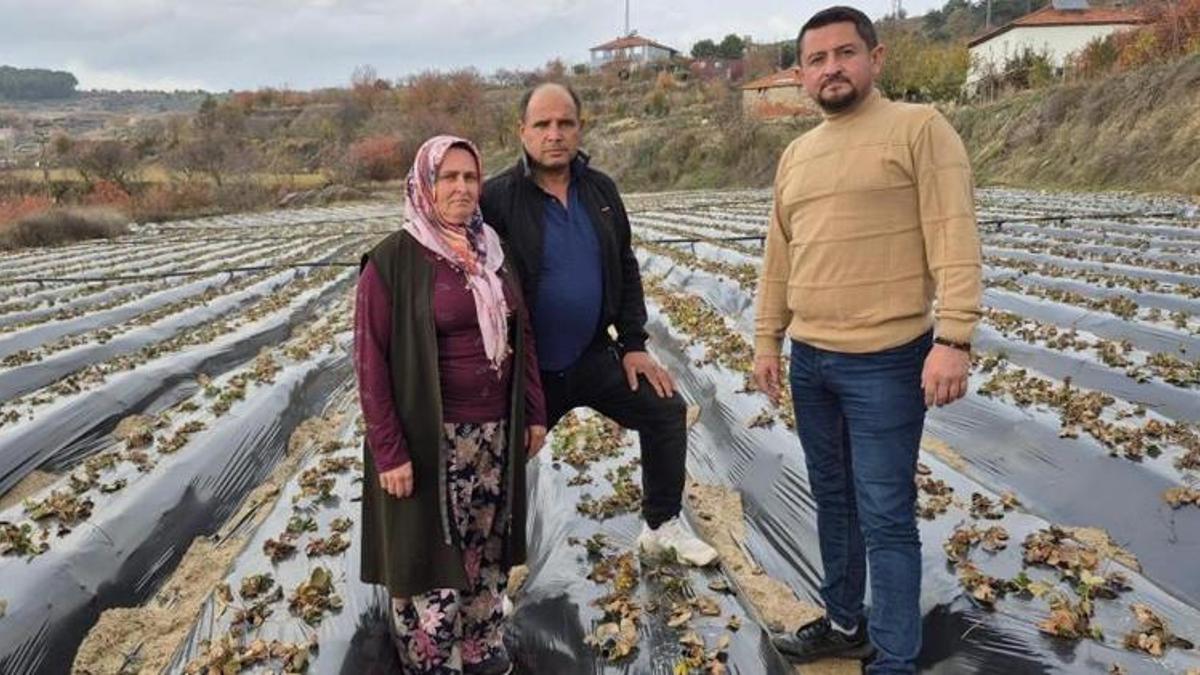 Denizli'de 10 mahalle birleşti! Resmen başladı, 6 ay süresi var