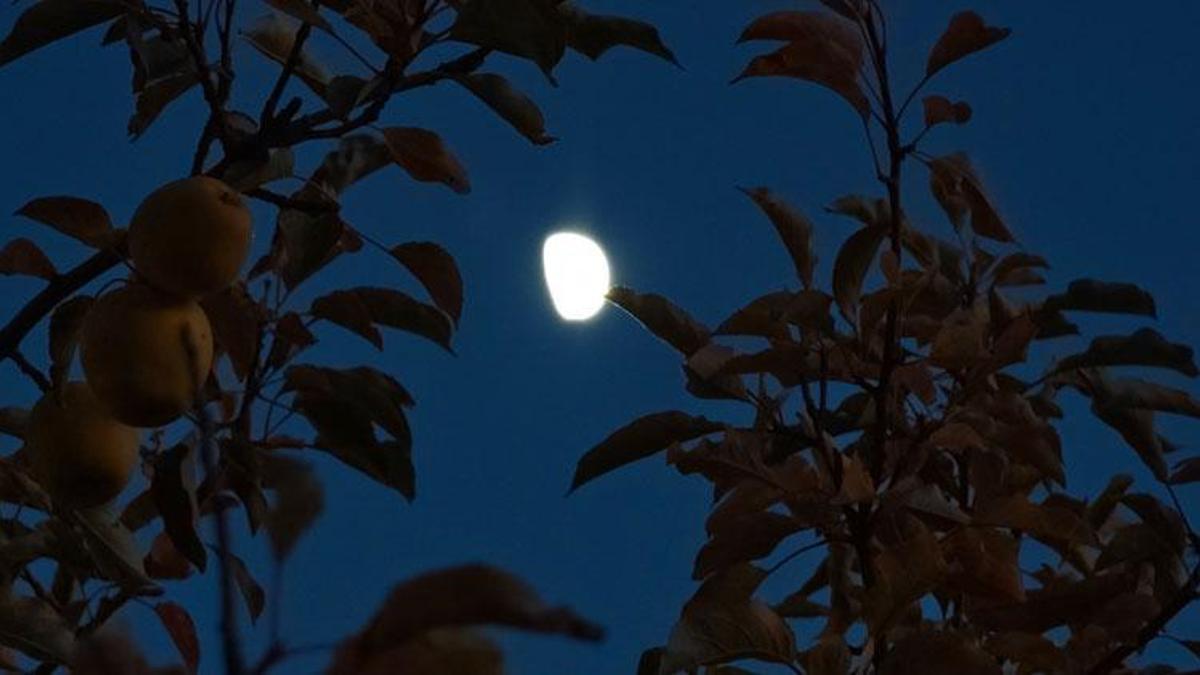 Bitlis Ahlat'ta yarım ay manzarası hayran bıraktı