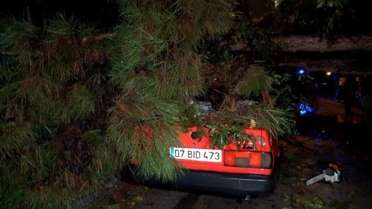 Sarı alarm verilen Antalya'da yağmur ve şiddetli rüzgar 10 metrelik ağaç devrildi