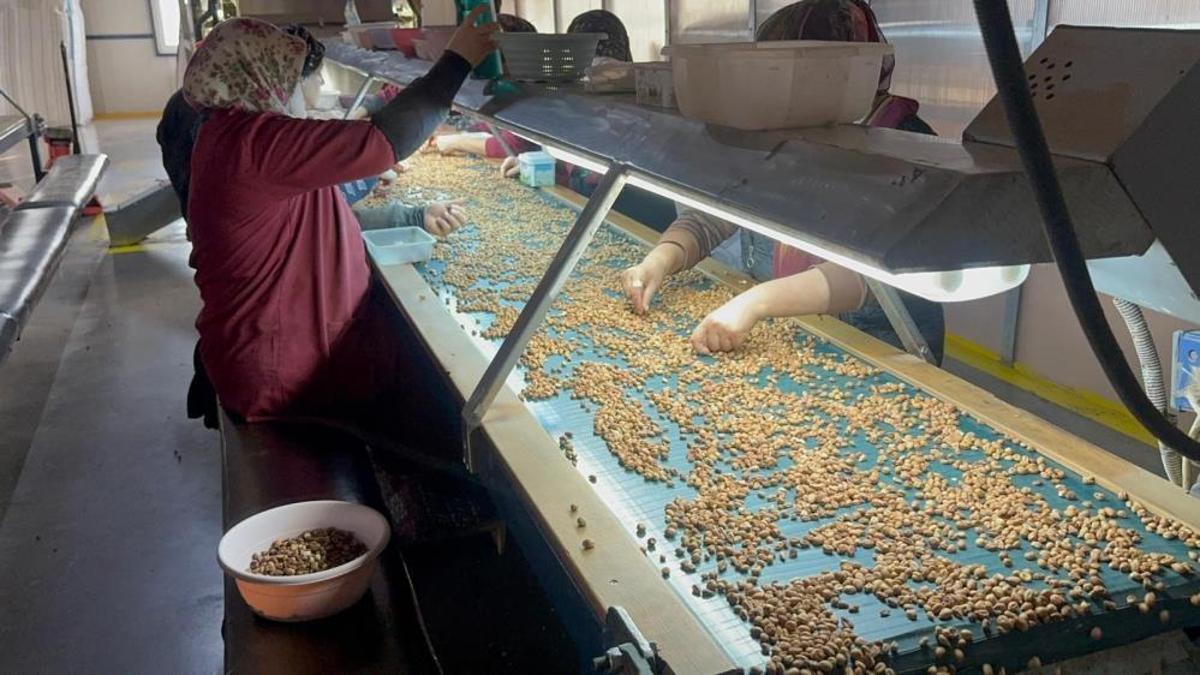 Türkiye'de en çok tüketilen ürünün fiyatı aylık değişiyor! Fiyatların yükseleceği tarih belli oldu