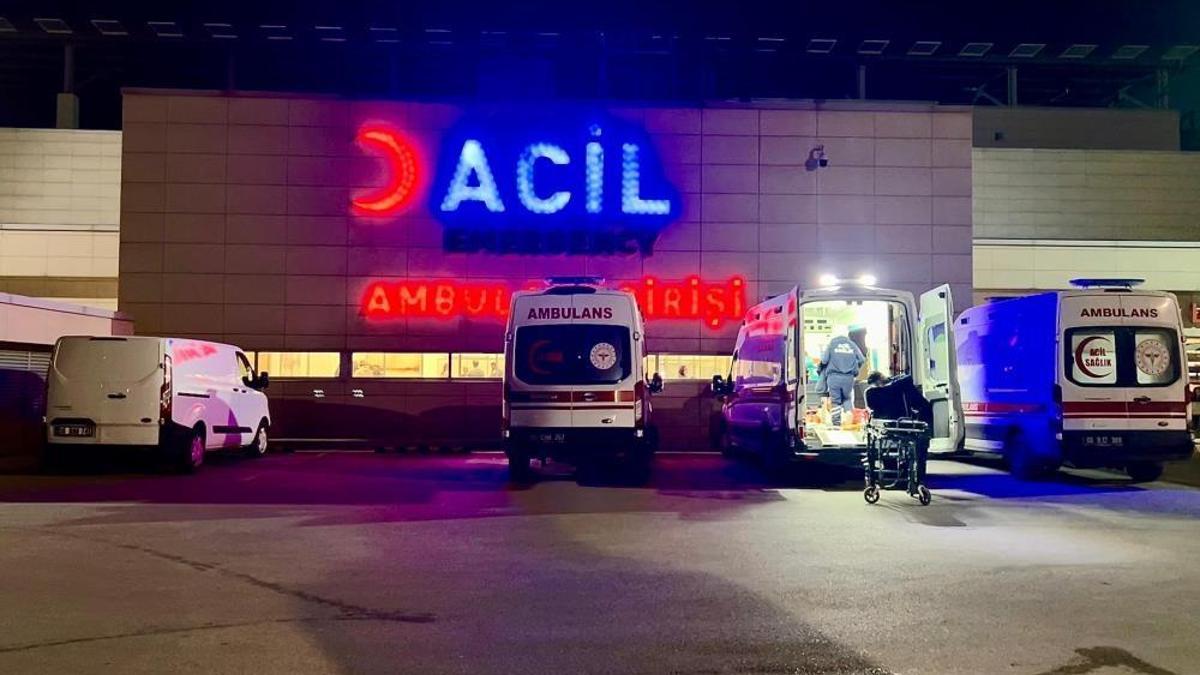 Ankara'da pitbull dehşeti! Çocuğun yüzü paramparça oldu