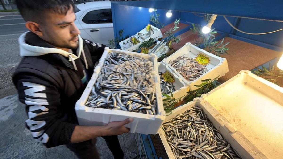 Palamut Gürcistan'a kaçtı! Tezgahlar hamsiyle doldu