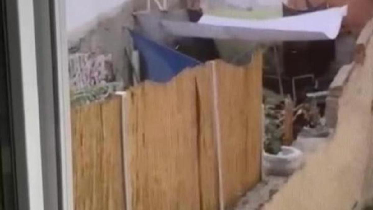 Eskişehir'de köpeğe eziyet eden şahıs yakalandı