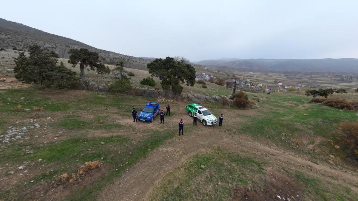 Tokat'ta köylü çağrı yaptı jandarma devriye atıyor! 508 yıl önce ekildi
