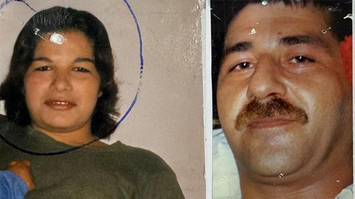 19 yıl önceki cinayet çözüldü: 'Abi ben unuttum, siz unutmadınız!' Domuz bağıyla bağlanmıştı