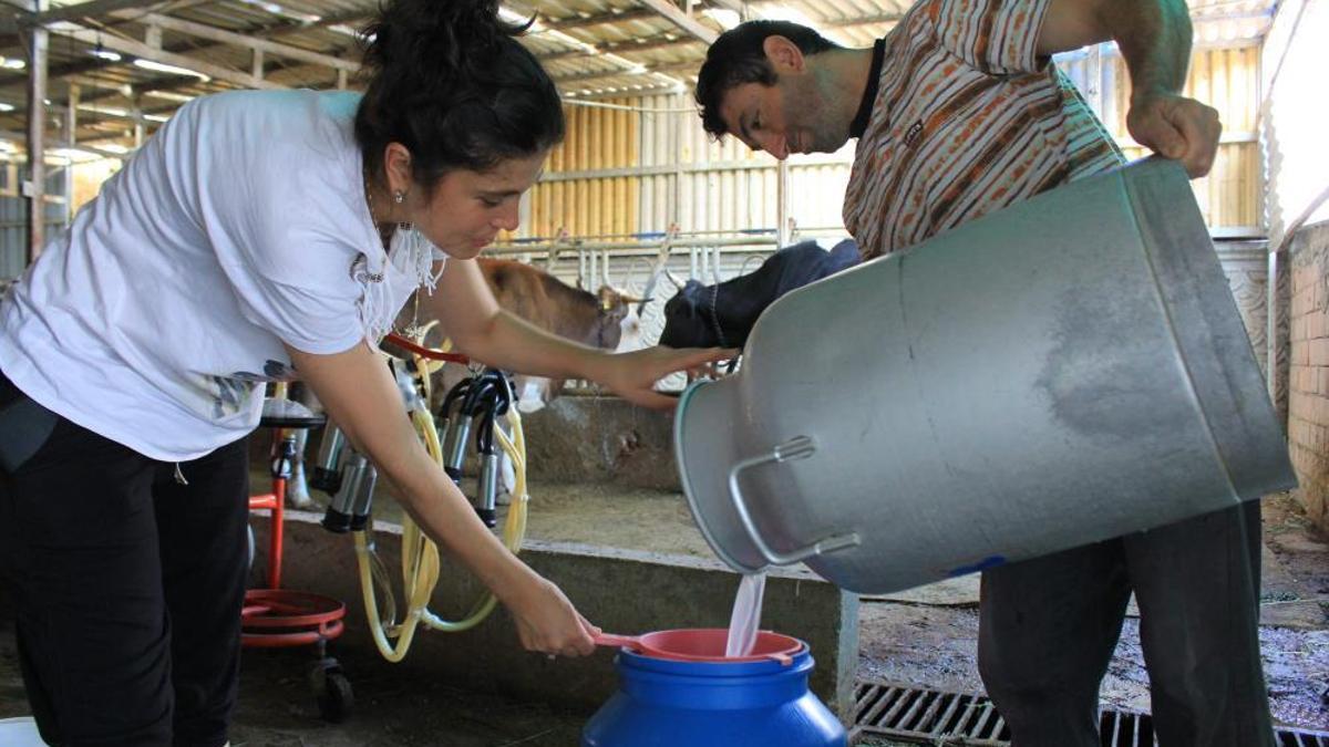 Hastalık vurunca büyük zarar gördüler! Üreticiler fiyatlarda artış istiyor