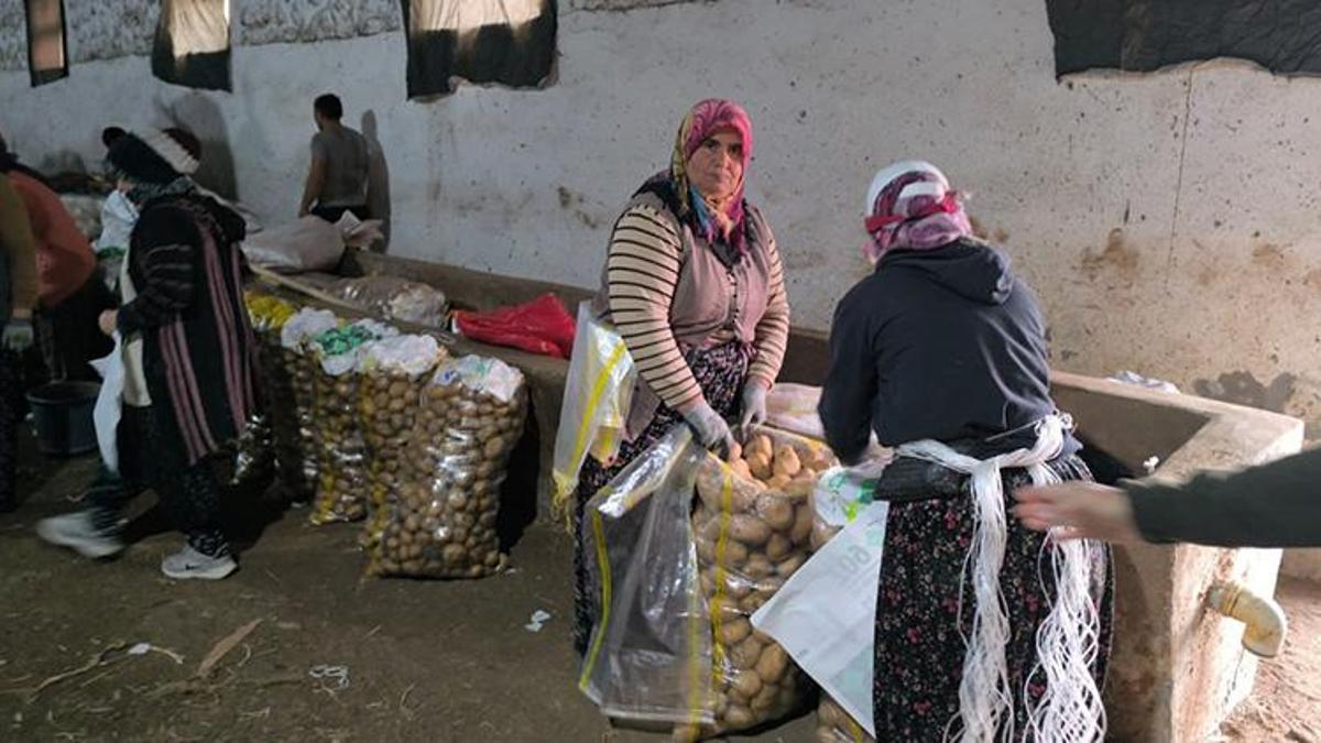 Afyonkarahisar'da hasat bitti! Tarlalardan depolara taşınıyor! Kilogram fiyatı çiftçinin yüzünü güldürdü