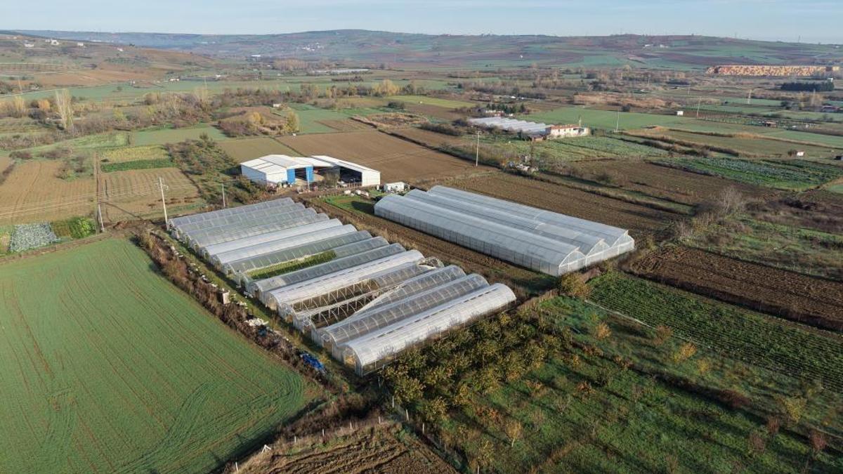 Tekirdağ'da sera üretimine dev destek: 52 üreticiye verildi