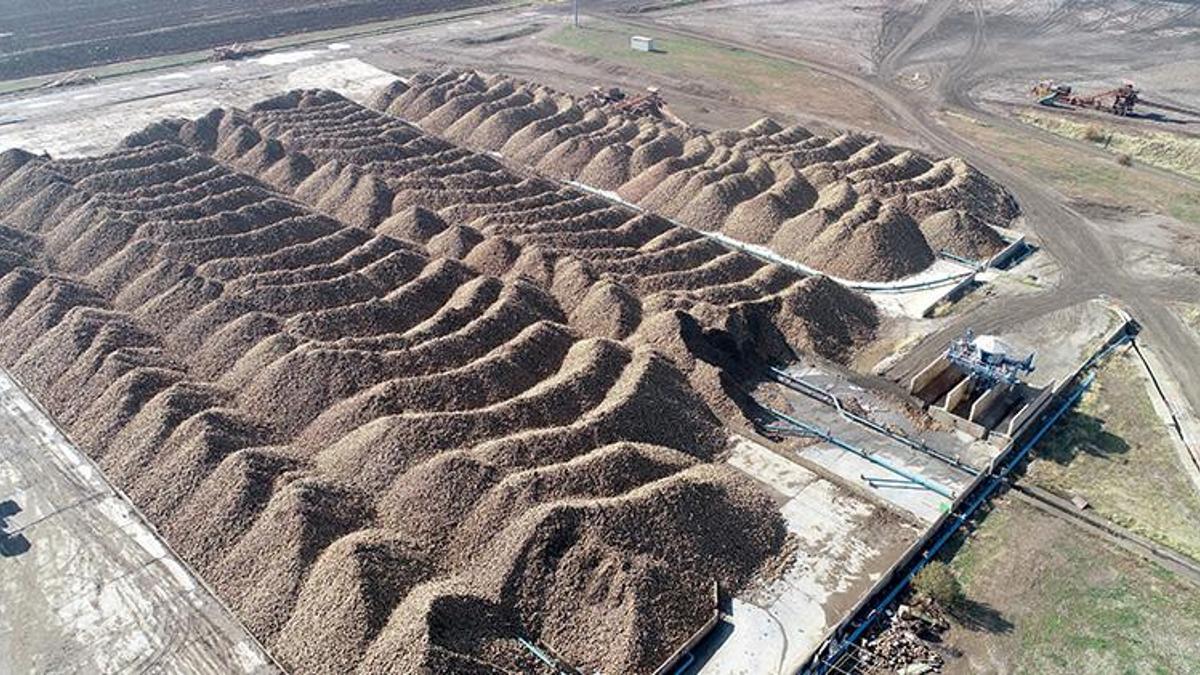 Çiftçiler yeni ürüne yöneldi! Muş ve Van'da üreticinin kazancı katlandı! Hedef 76 bin ton