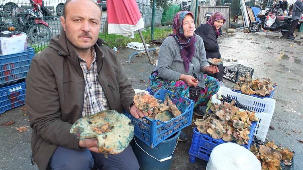 Bir yağmur yağdı, fiyatı 400 liradan 100 liraya düştü! Bu sezon bol bol tüketilecek