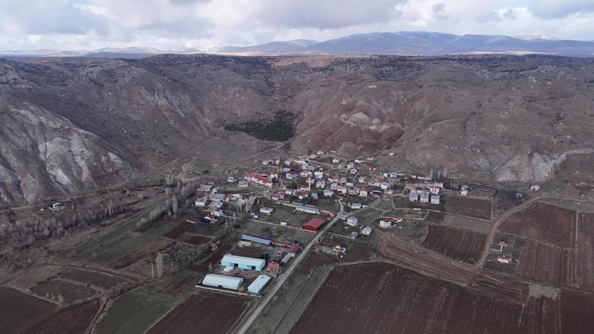 Sivas'ın en değersiz tarlasında fark etti: İki arkadaş 3 bin tane buldu! Her birine farklı isim verildi