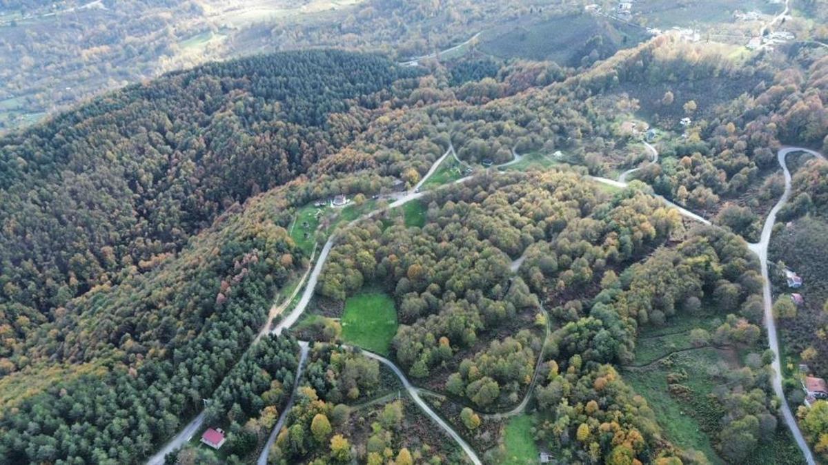Düzce'nin dağlarında fark edildi: Kısmet deyince ortaya çıktı