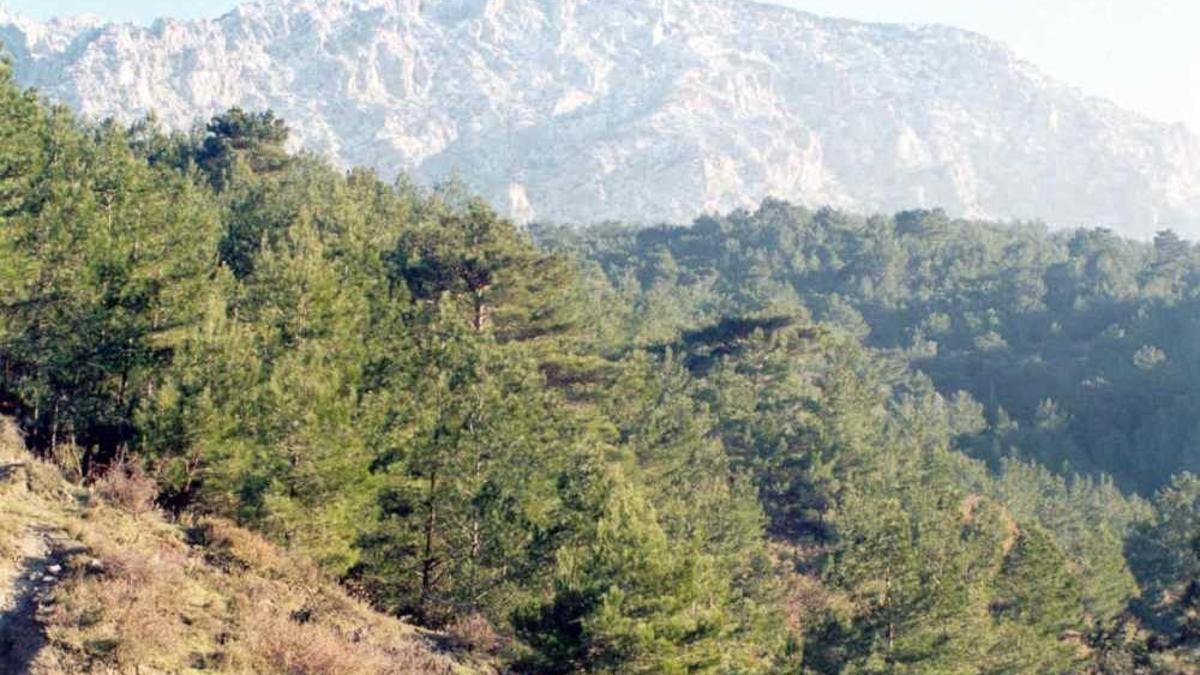 Spil Dağı Milli Parkı