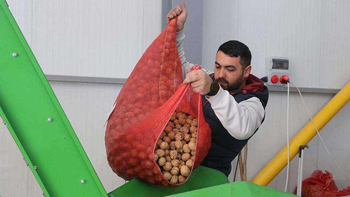 Tokat'ta devlet desteğiyle kurdu, 2 katına çıkardı! Tonlarca üretiyor, paraya para demiyor