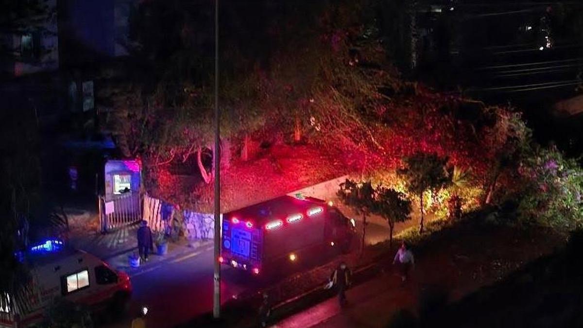 Mersin’de otomobilin üzerine ağaç devrildi