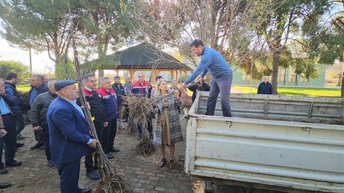 Aydın'da üretimi değiştirecek adım! Dayanıklı fidanlar üreticilere dağıtıldı