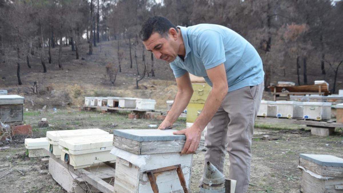 Irkını belirledi, 10 tane alıp üretime başladı! Türkiye'nin her yerine satıyor: 2 bine çıkardı
