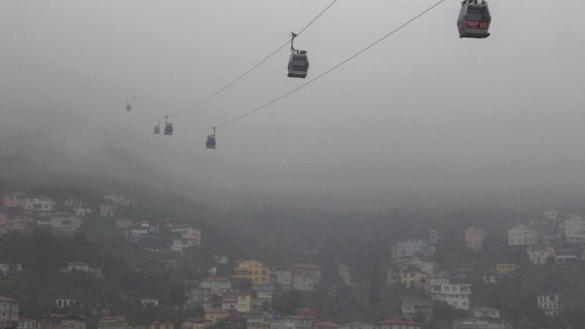 Ordu'da doğadan nasibini aldı: 530 metre yükseklikte görüldü